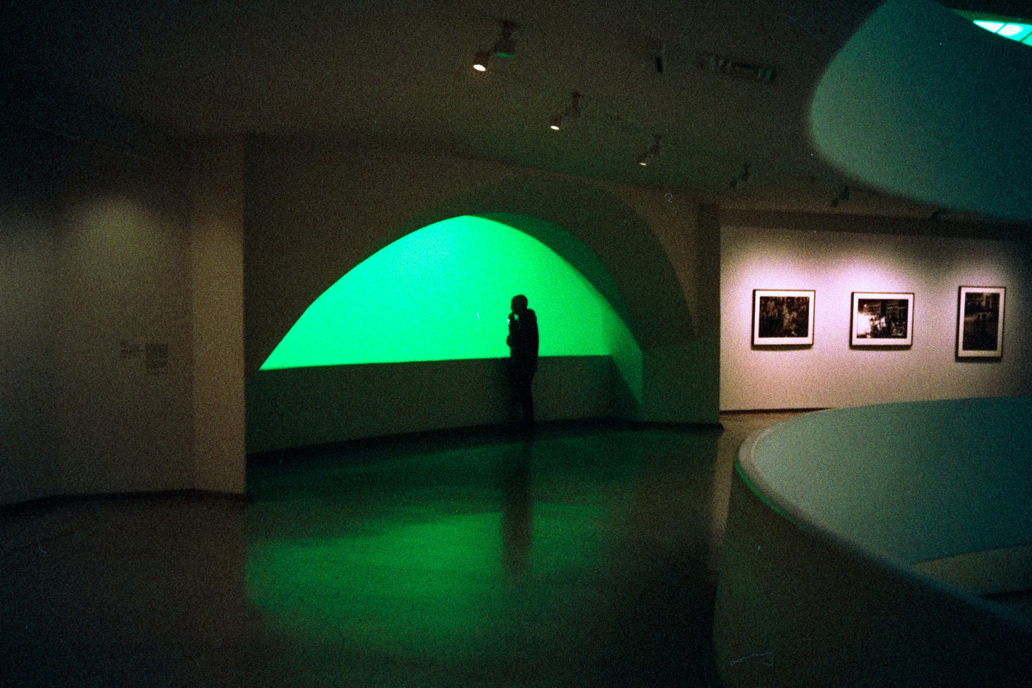 HARMAN Technology Phoenix 200 Color Negative Film (35mm Roll Film, 36 Exposures)