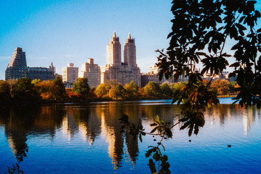 HARMAN Technology Phoenix 200 Color Negative Film (35mm Roll Film, 36 Exposures)