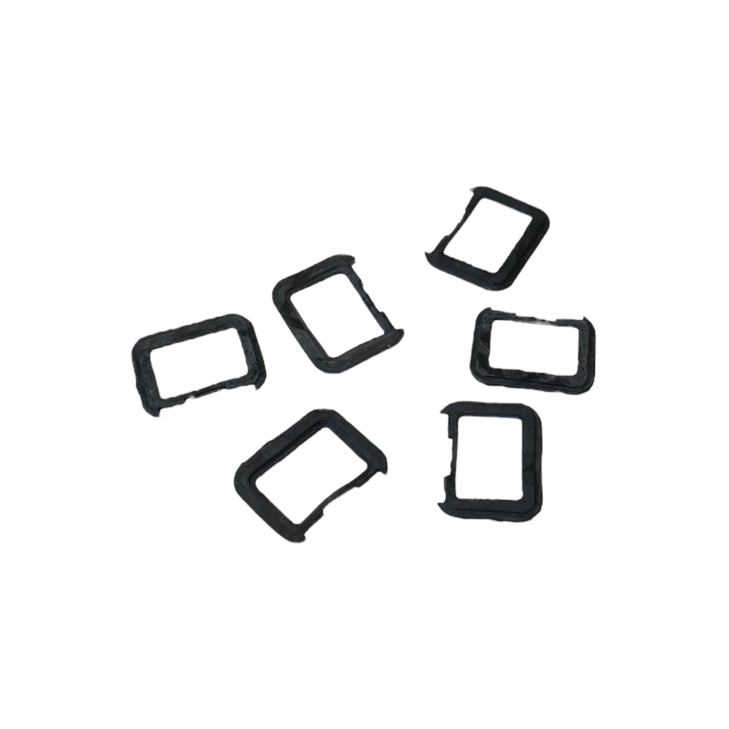 Nikon DP-1 Lens Frame